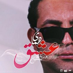 Pouriya Bineshiyan – Homaye Eshgh